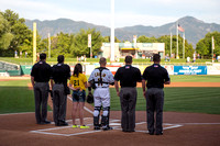 Bees Baseball