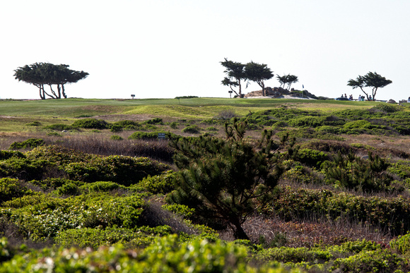 17 Mile Drive - Golf, Cypress Point