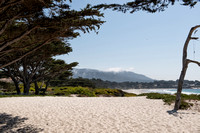 Monterey Peninsula, 2014