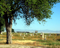 Ephraim Pioneer Cemetery