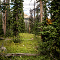 On trail to Wall Lake