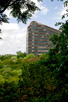 Dell Headquarters (former) from the Arboretum, 2010